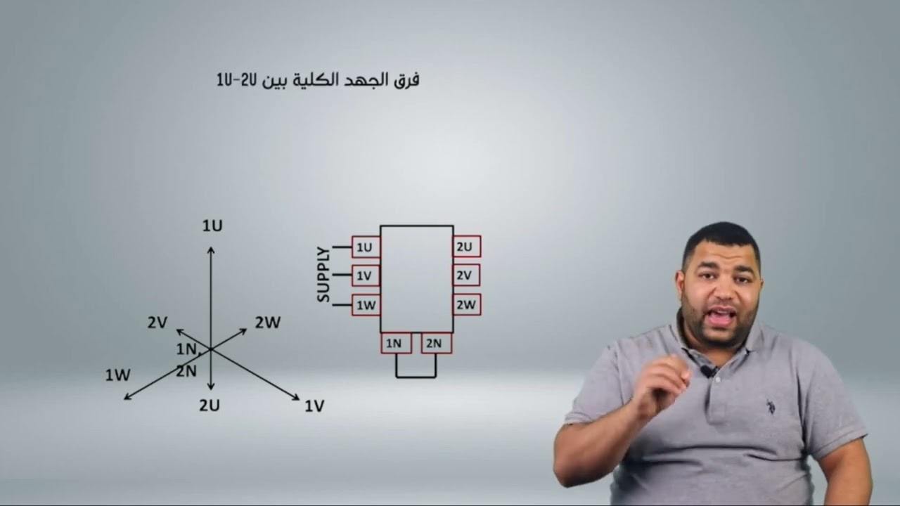 TR Vector group test