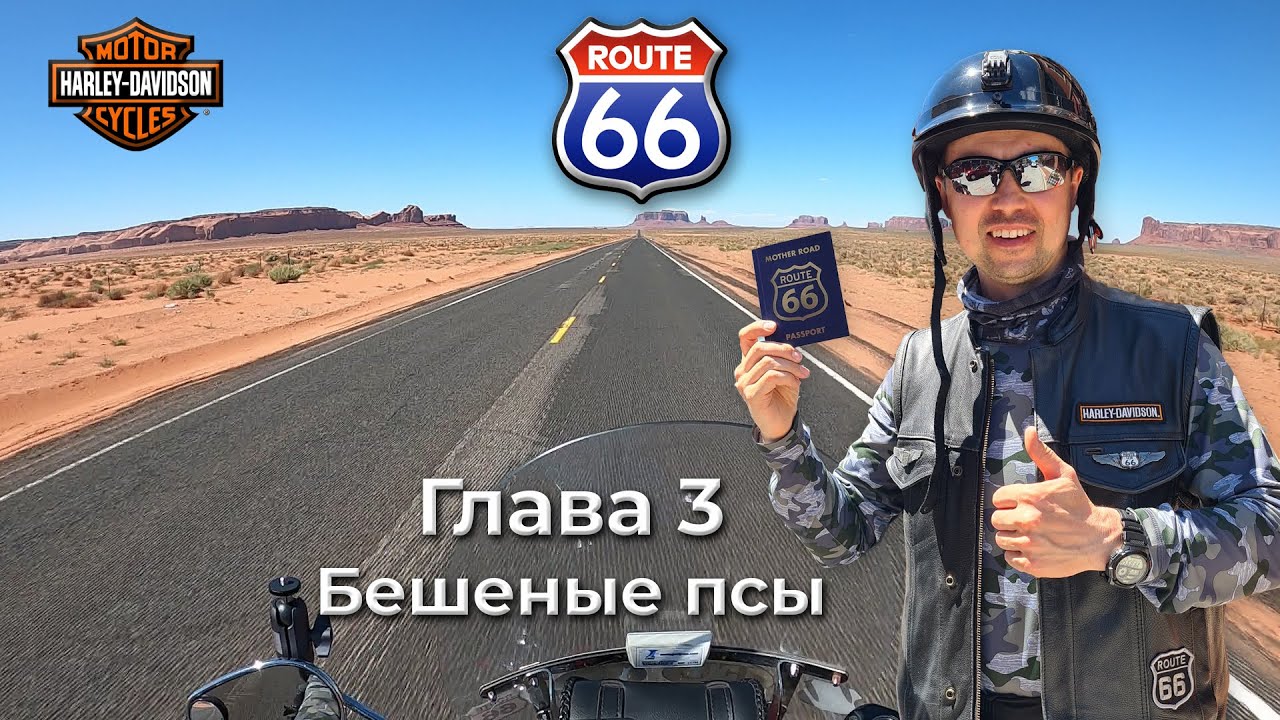 Route 66. Глава 3 - Бешеные псы