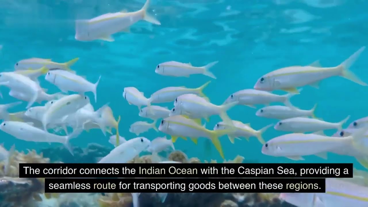 INSTC: Transforming Global Trade Routes &ndash; The International North-South Transport Corridor