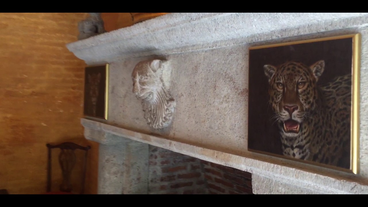 MARÍA FÉLIX LA CASA DE LAS TORTUGAS