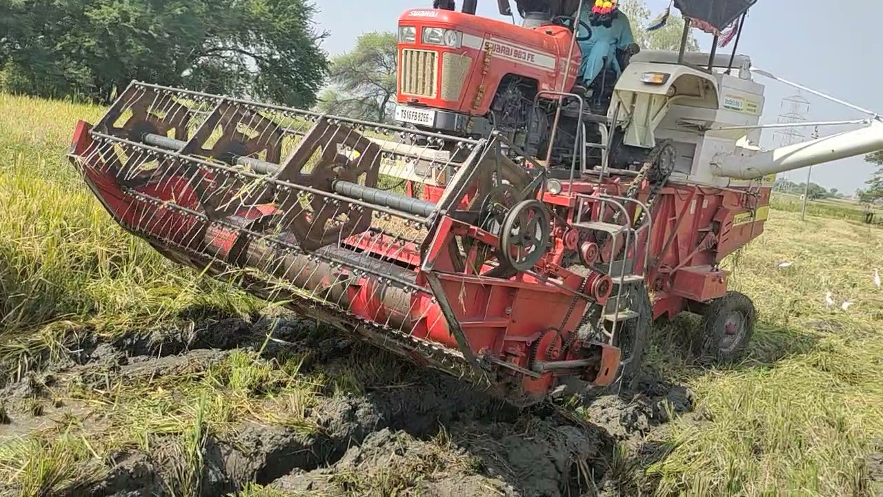 Swaraj 963 FE 63HP Balkar combine harvester harvesting paddy in deep mud 2wheel drive