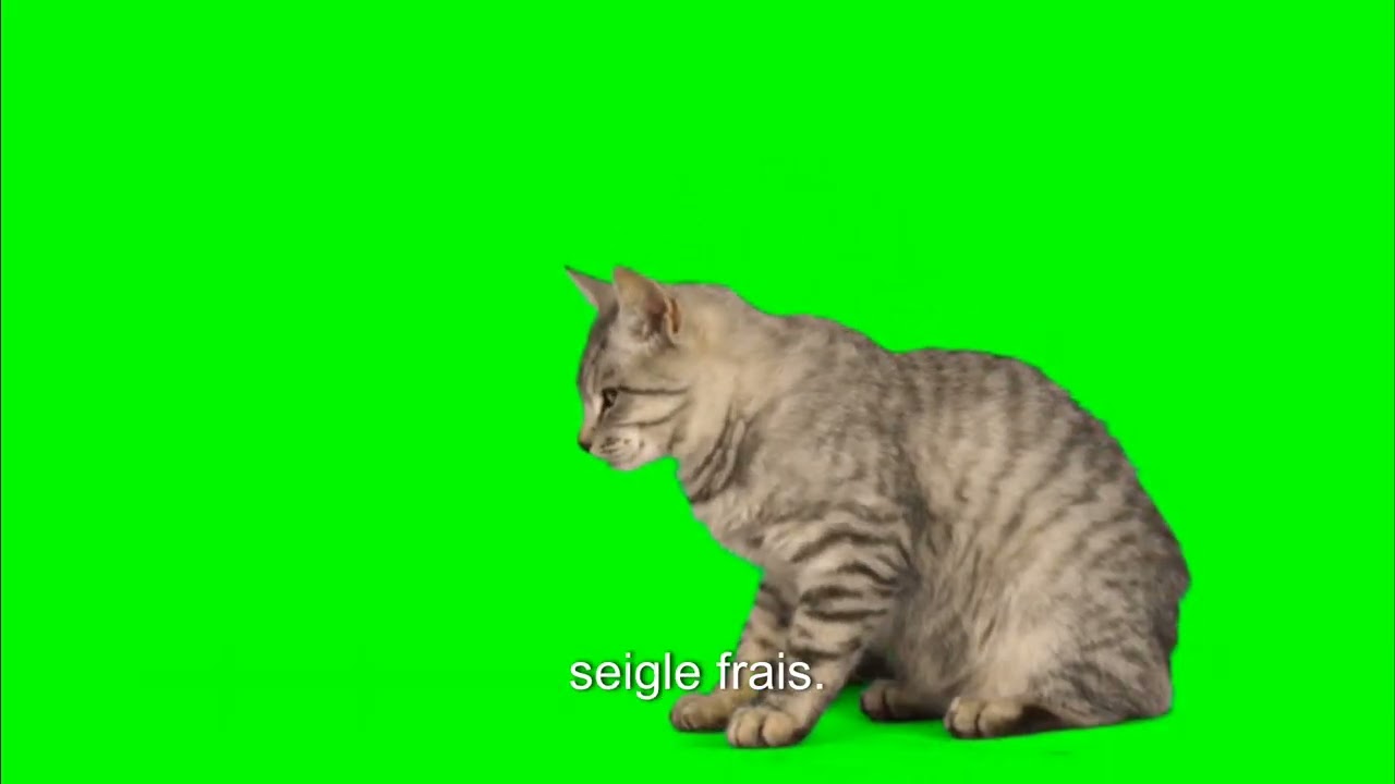 1 février 2026