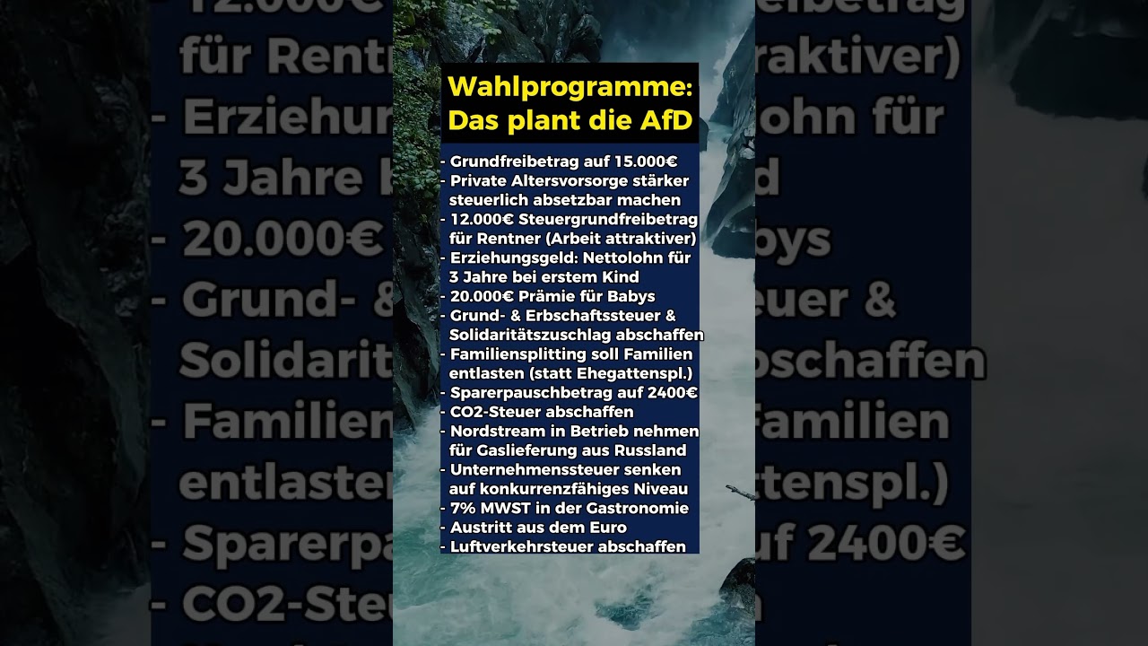 Wahlprogramm der AfD!
