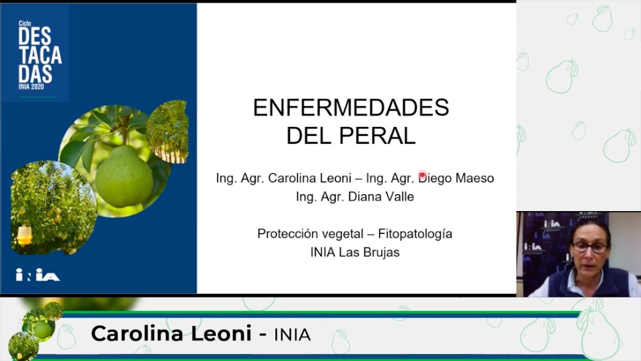 Jornada propuestas tecnológicas para pera - Carolina Leoni