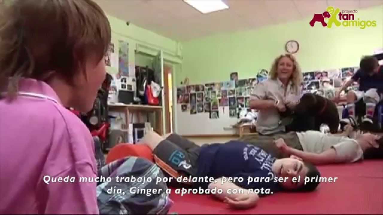 Una segunda oportunidad, de perro abandonado a perro de terapia.