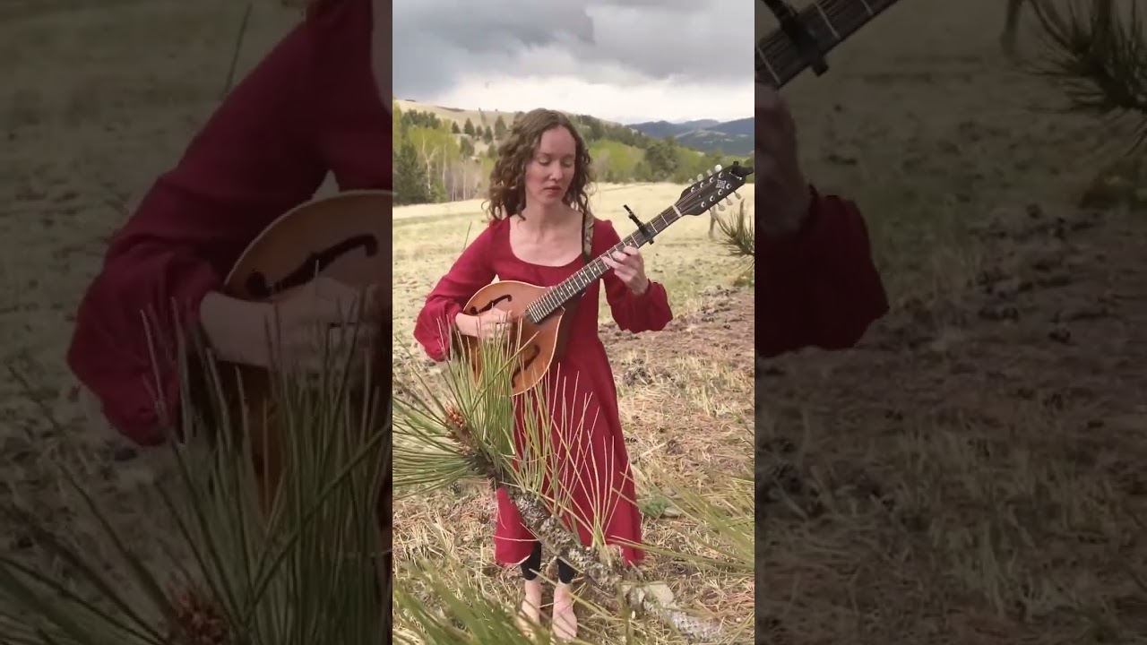 One of my all time favorite Celtic melodies #shorts #celtic #octavemandolin