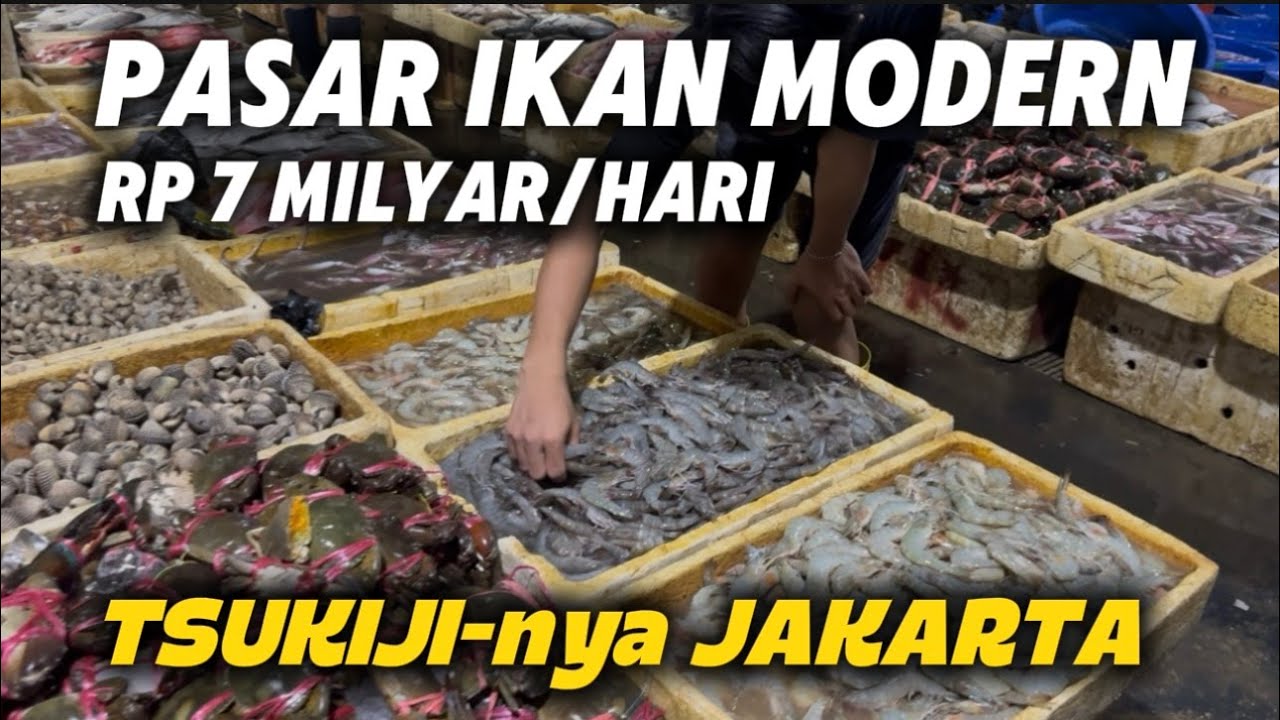 Keren Banget! Pasar Ikan Modern Muara Baru — Tsukiji-nya Jakarta yang Transaksi Rp7 Miliar/Hari!