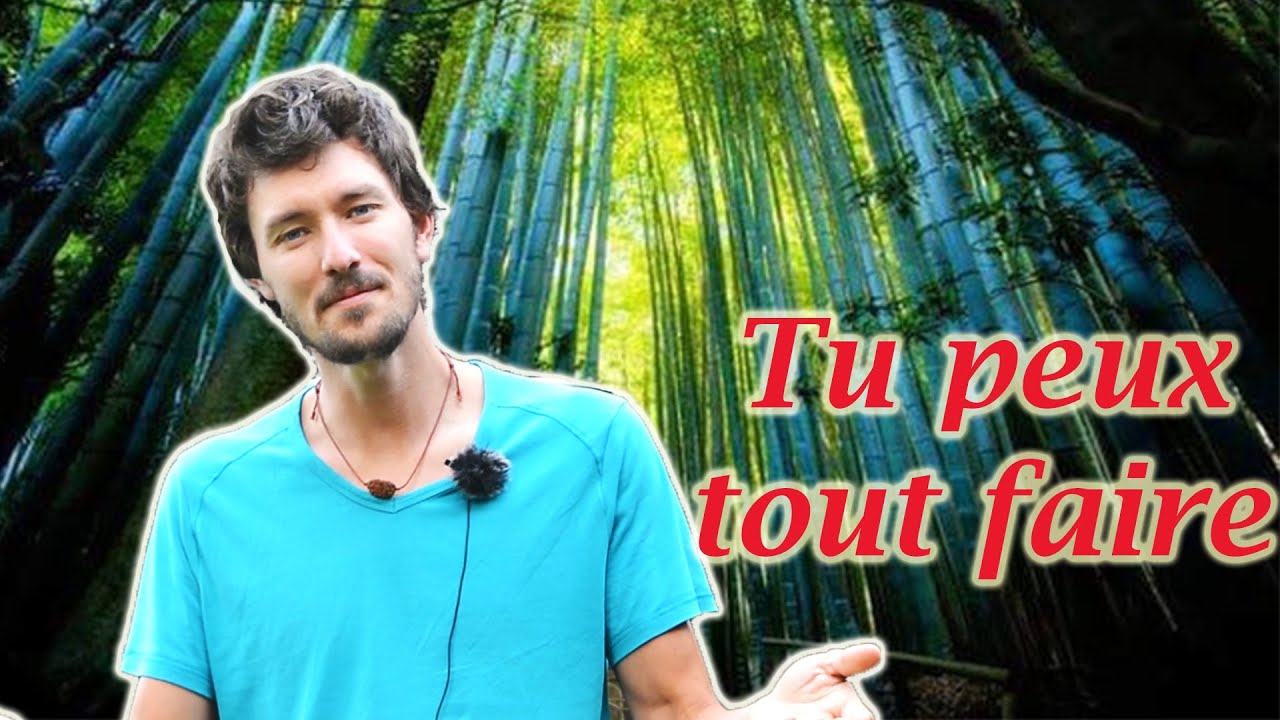 Le bambou = la plante ultime ?