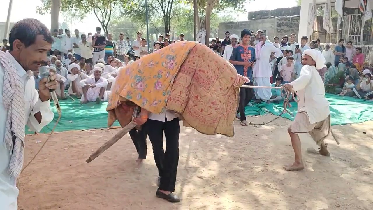 राजपुरा धूलंडी प्रोग्राम