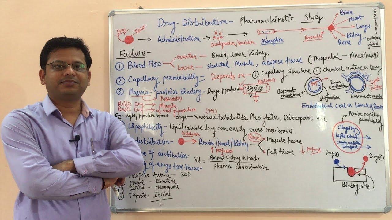 Pharmacokinetic (Part-02) Distribution of Drug | Drug Distribution | General Pharmacology | ADME