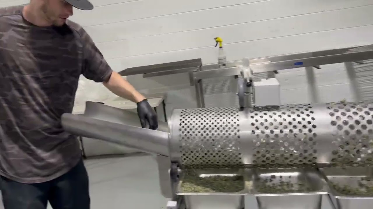 Bud Sorter