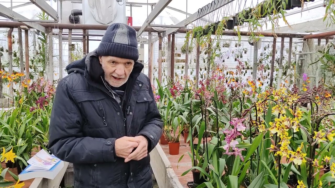 Corso orchidee n° 6 di tanti, Bark, Orchiata, Sfagno, Lapillo, Argilla, perlite ecc. quale migliore?