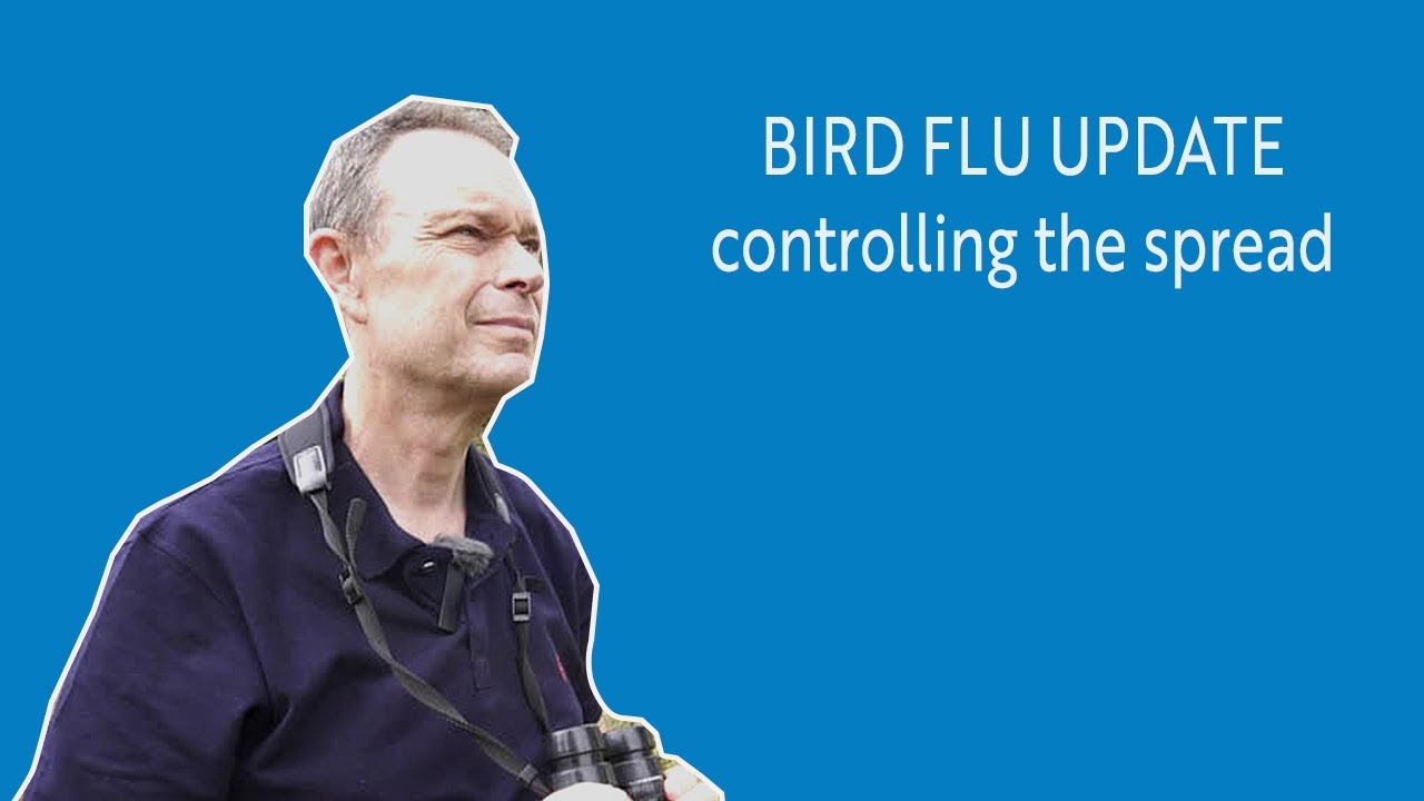 BIRD FLU UPDATE - Controlling the Spread
