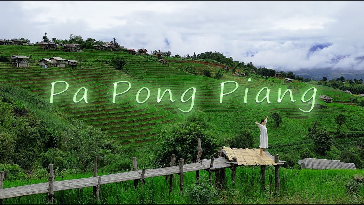 ป่าบงเปียง - Pa Pong Piang Rice terraces, Doi inthanon National Park, Thailand.