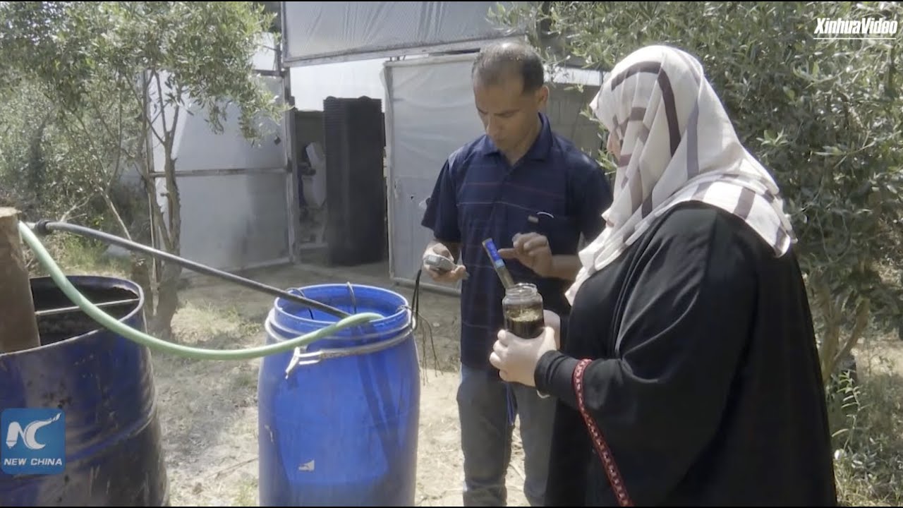 Ingenious Gazan engineers produce wood vinegar against soil problems