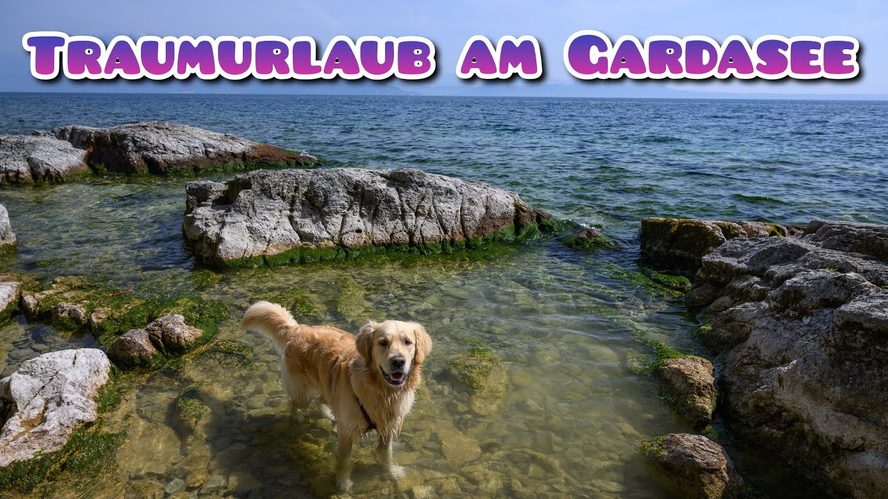 Sommer, Sonne, Gardasee: Traumreise mit Hund 😎☀️🏖