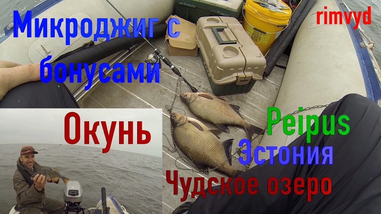 Чудское озеро, рыбалка с бонусами.Эстония.Микро джиг
