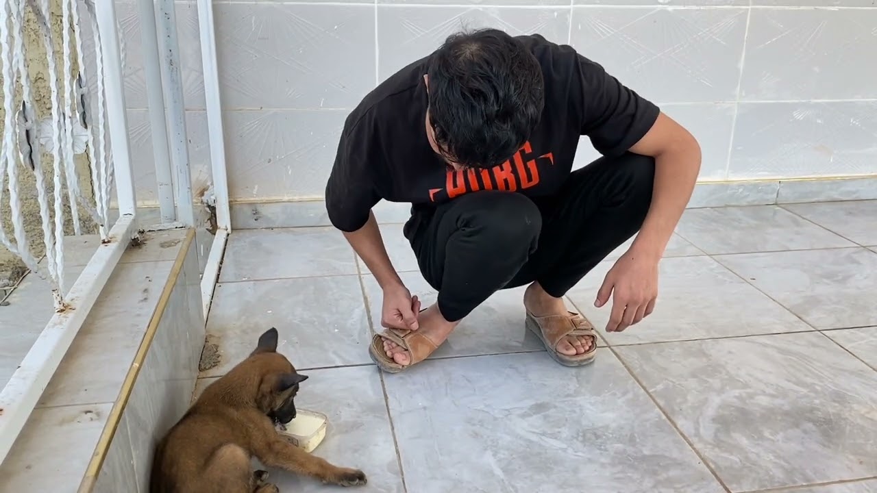 خليل جايب كلب ع بيت #خليل_وعلاء #كوميديا #ام_خليل #كوميدي #ضحك