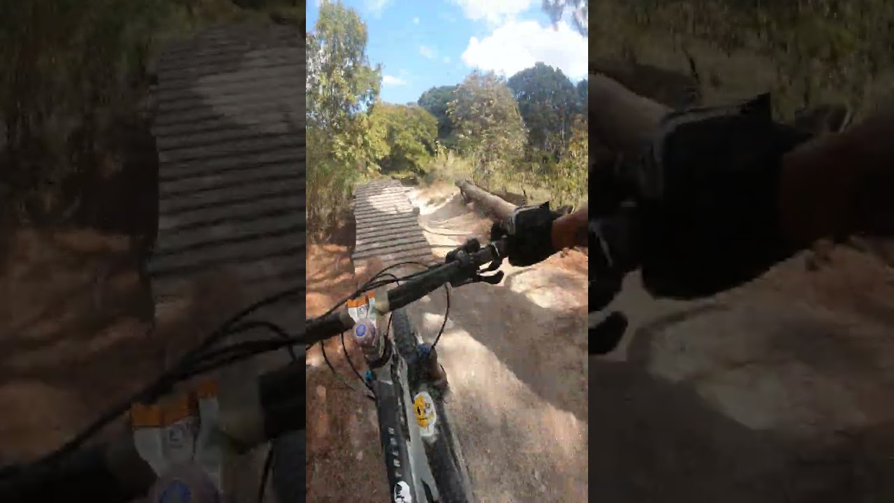 Bosque de la primavera MTB