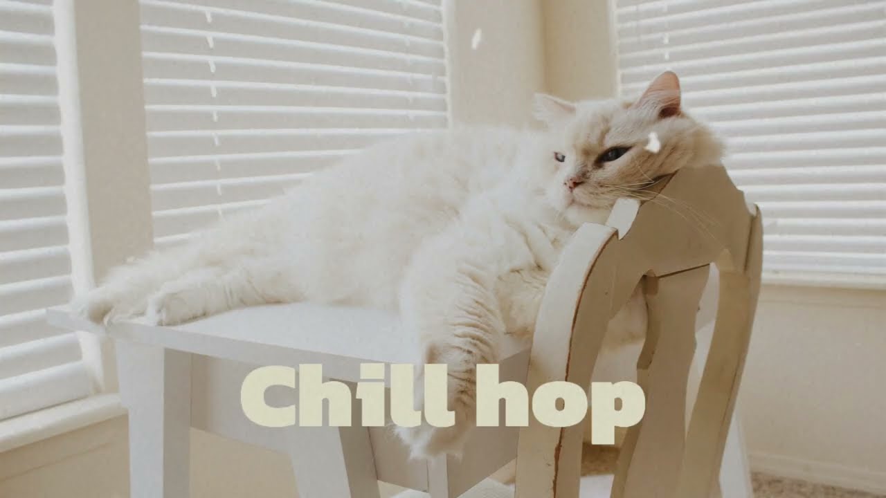 Sunny Morning Lo-Fi with a Cute Cat 🐾 | Perfect Background Music for Work, Study & Relax