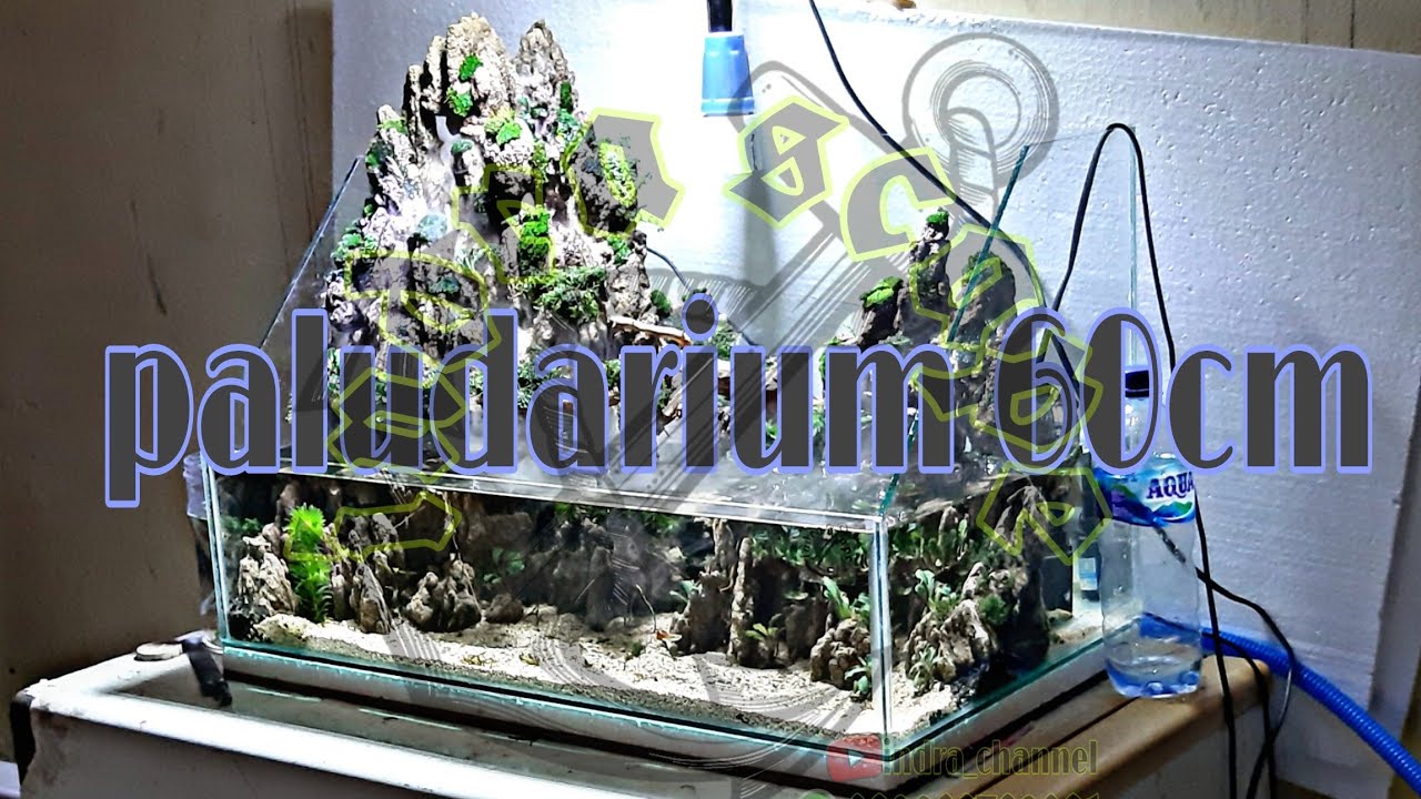 tutorial bikin PALUDARIUM 60cm pemula dengan mist makker kabut aquascape 100% irit bahan dan gampang