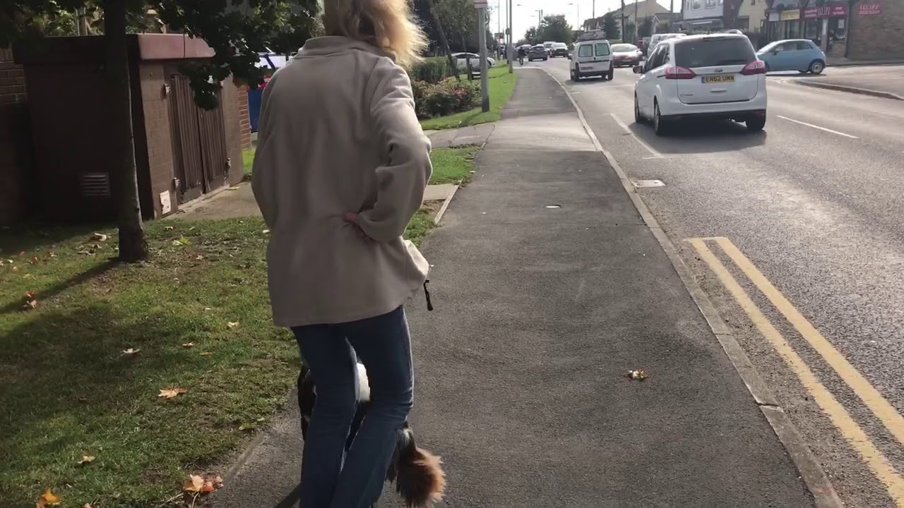 REAL WORLD DOG TRAINING | GROUP CLASS | KENNEL CLUB GOLD | EXERCISE 1