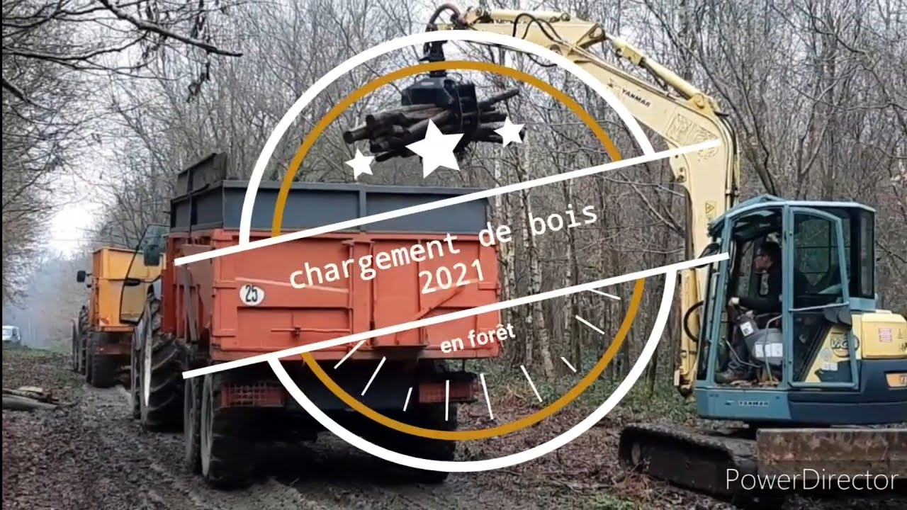 transport de bois 2021 en forêt|mini pelle yanmar