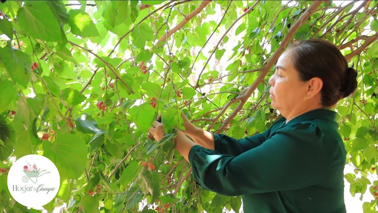 Sabores del campo: Mermelada Artesanal de Moras Silvestres y Pescado Rebozado 🌿🫐🐠