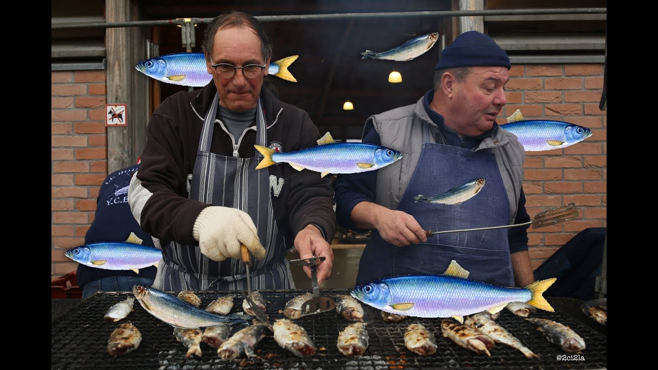 La Harengade 2016 &agrave; Cayeux-sur-Mer