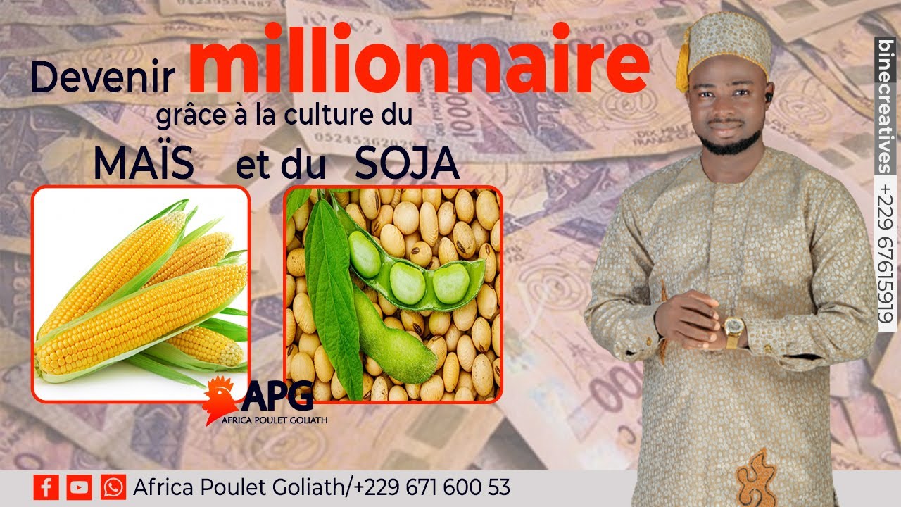 MEILLEURES VARIETES DE MAIS ET DE SOJA