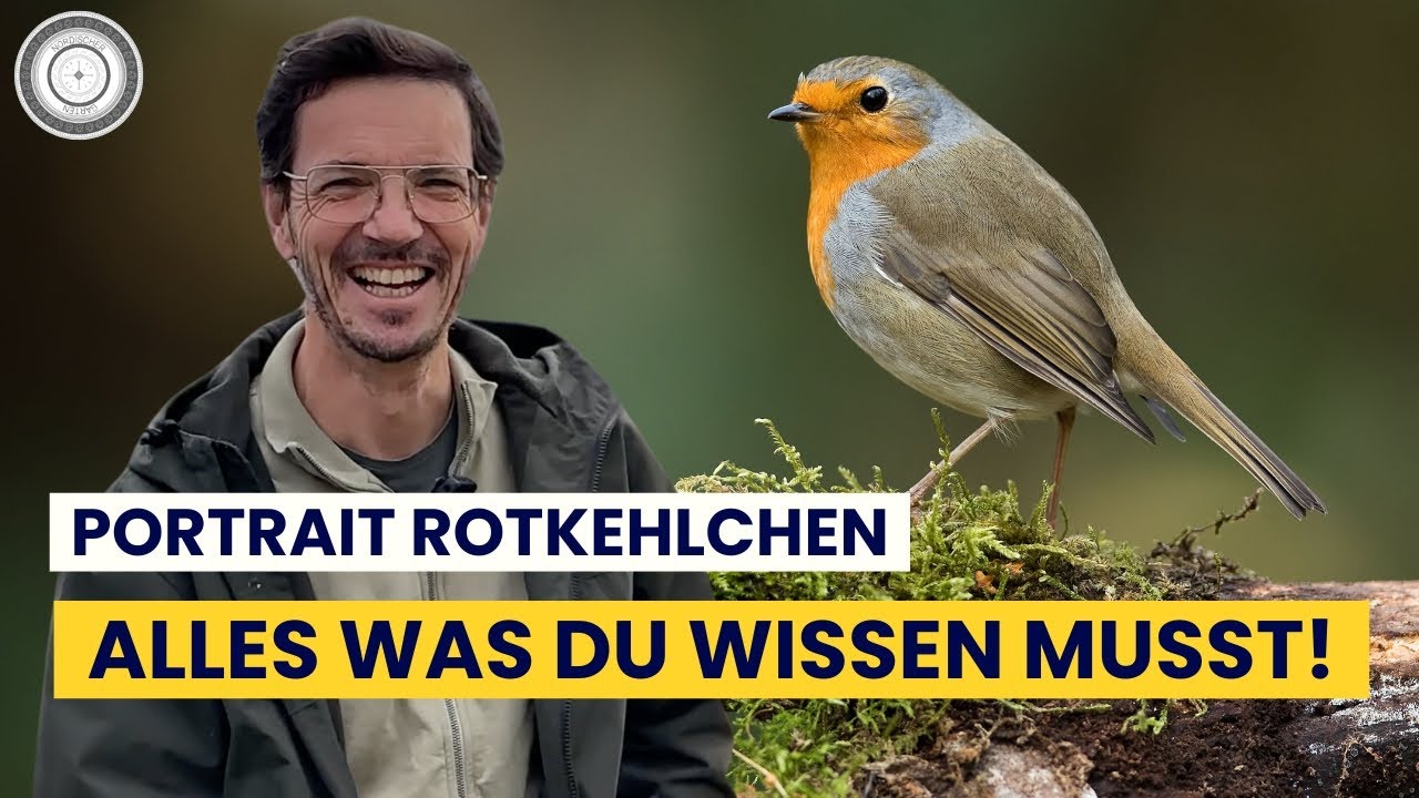 Super TIPPS & INFOS um das Rotkehlchen im EIGENEN Garten zu unterstützen...