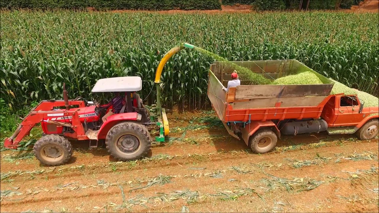21-Drone em ação: Produção de silagem-Fazenda Djanira