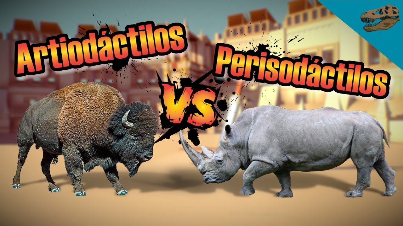 Artiod&aacute;ctilos VS Perisod&aacute;ctilos (diferencias y similitudes entre estos grupos)