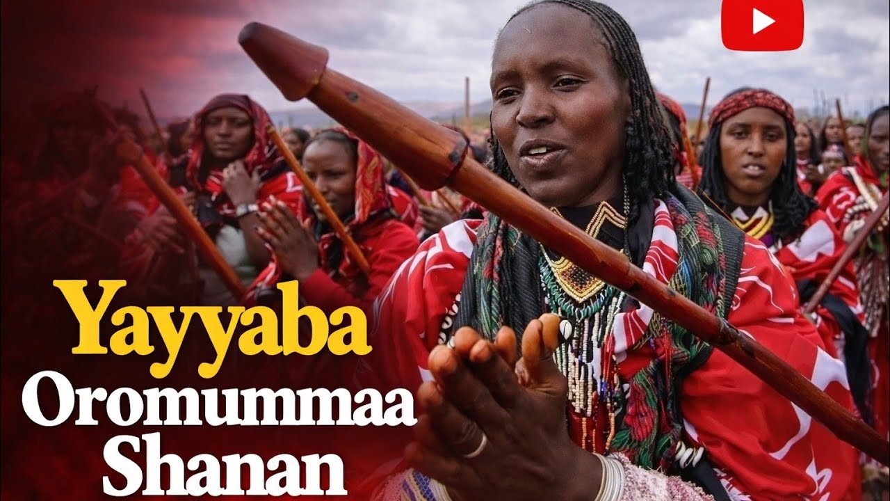 SDS: Yayyaba Oromummaa Shanan Lafaafi Lafee Oromoo Tikfachuu Nu Dandeechisan