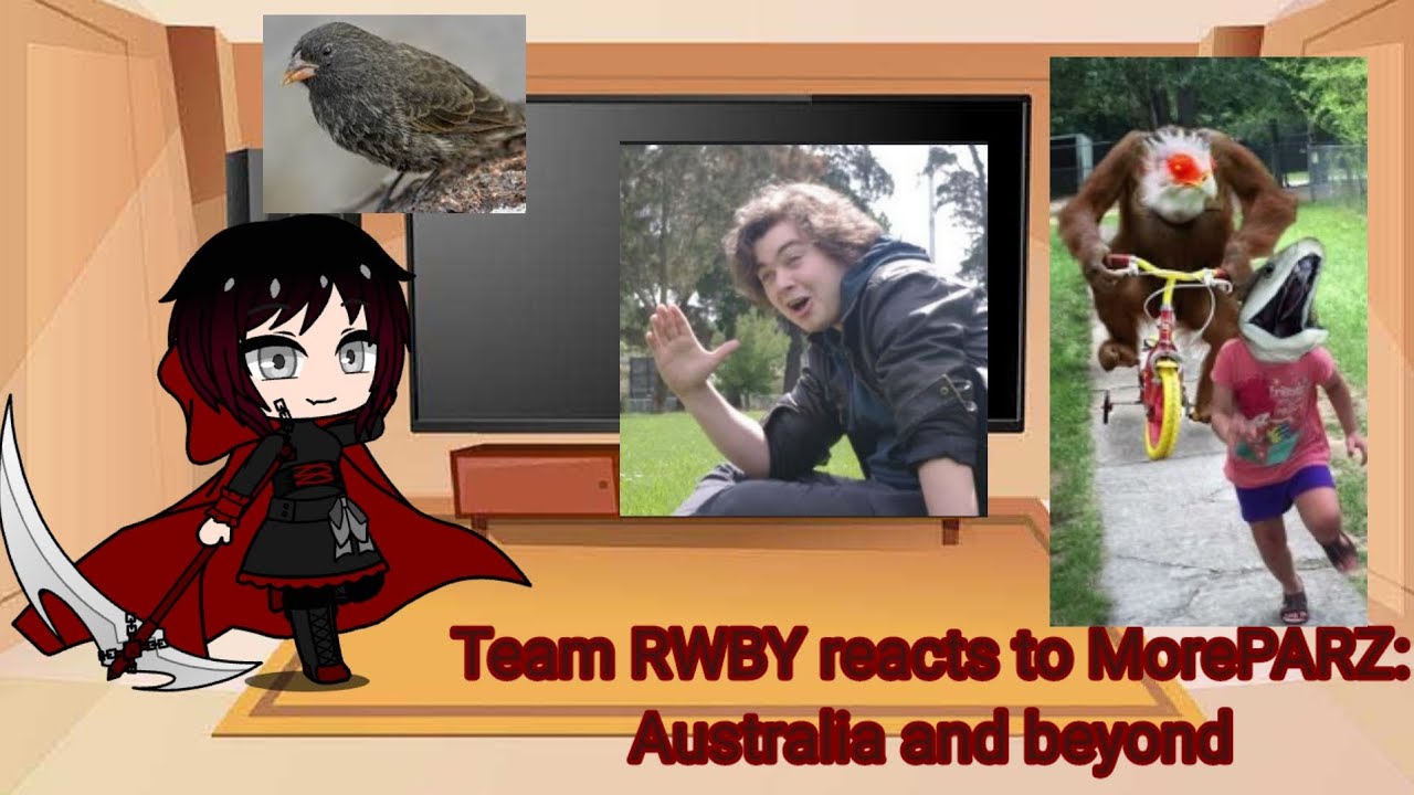 Team RWBY reacts to @MoreParz: Aussie Wildlife and More
