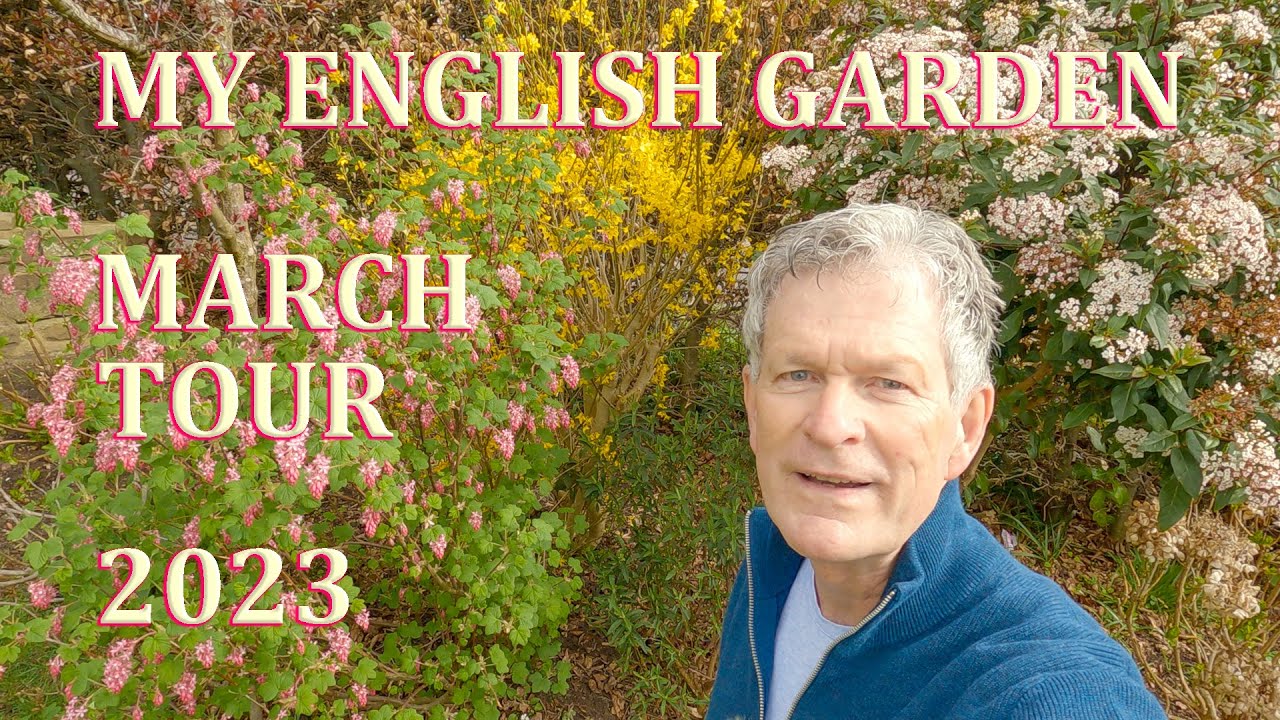 Spring Garden Tour - My English Garden in Flower - March 2023