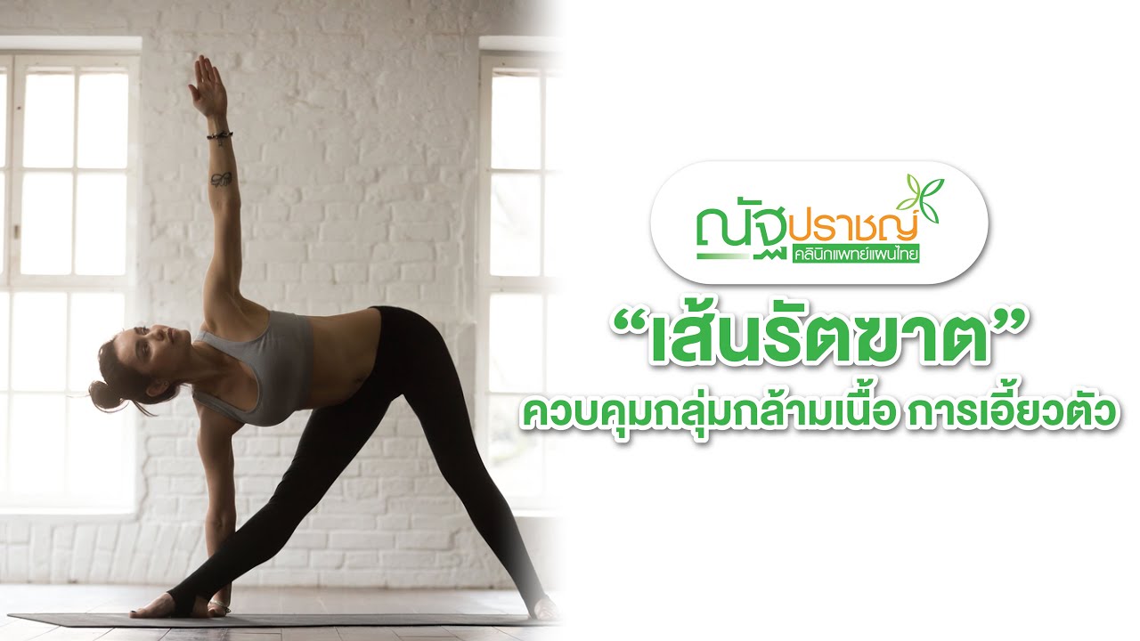 EP.11 เส้นรัตฆาต ควบคุมกลุ่มกล้ามเนื้อ การเอี้ยวตัว