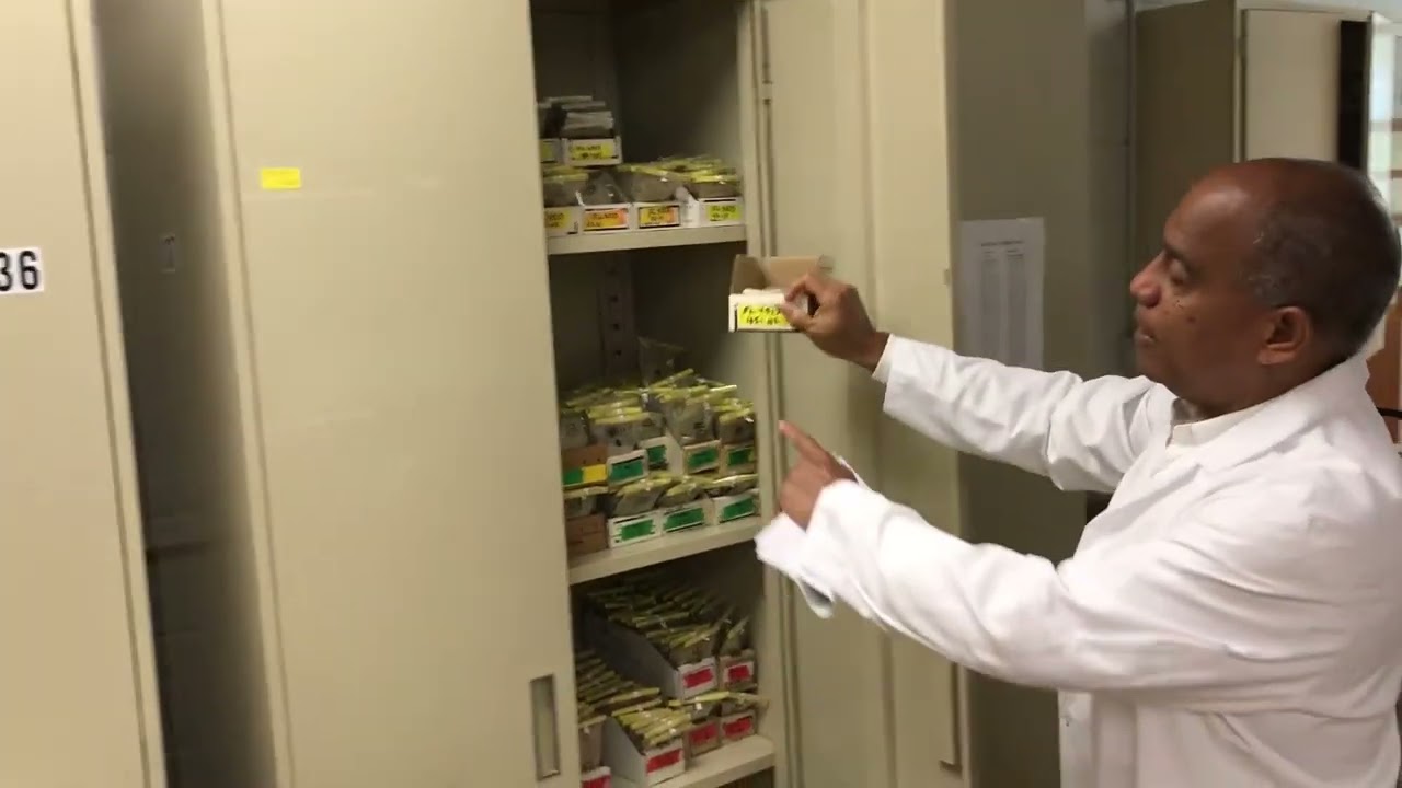 Good Laboratory Management: Buildings and Lab Design