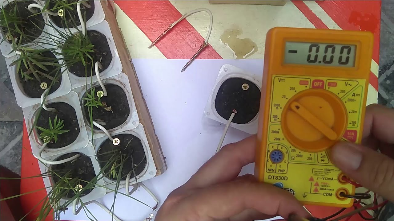 3-  Porque necesitamos 16 macetas para encender el LED - GENERADOR BIOFOTOVOLTAICO