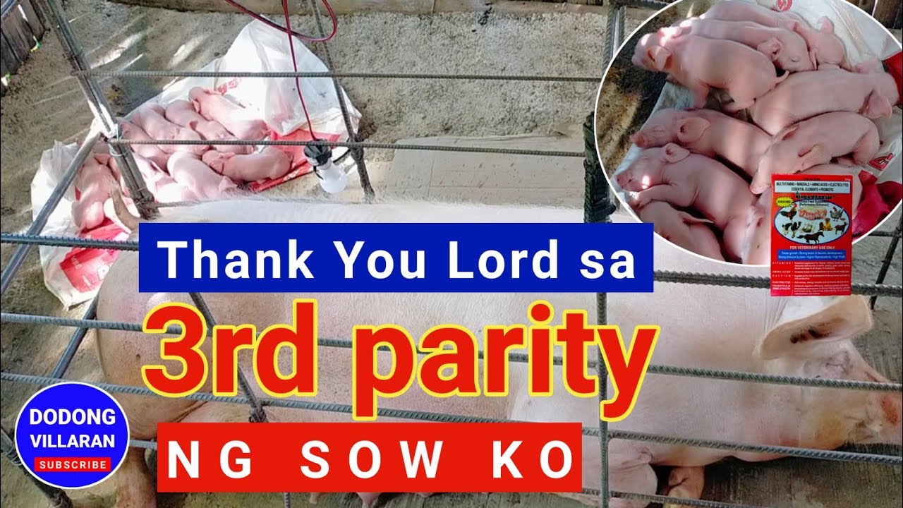 THANK YOU LORD SA THIRD PARITY NG SOW KO / Dodong Villaran / 3rd parity