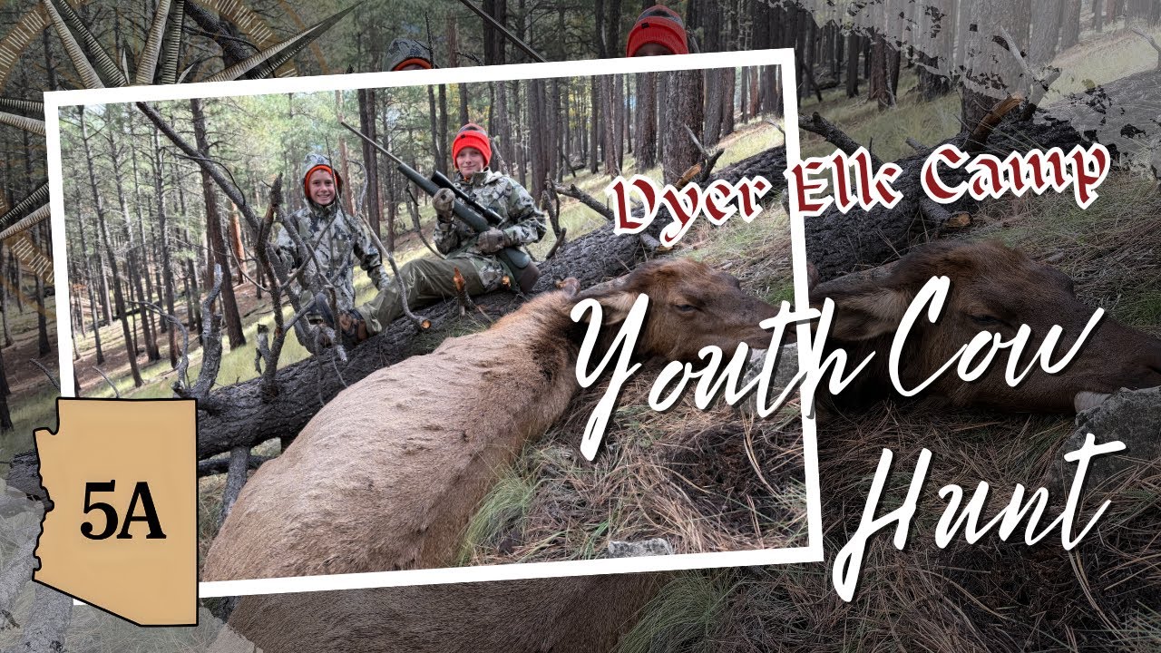 2025 Arizona Youth Cow Elk Hunt unit 5A