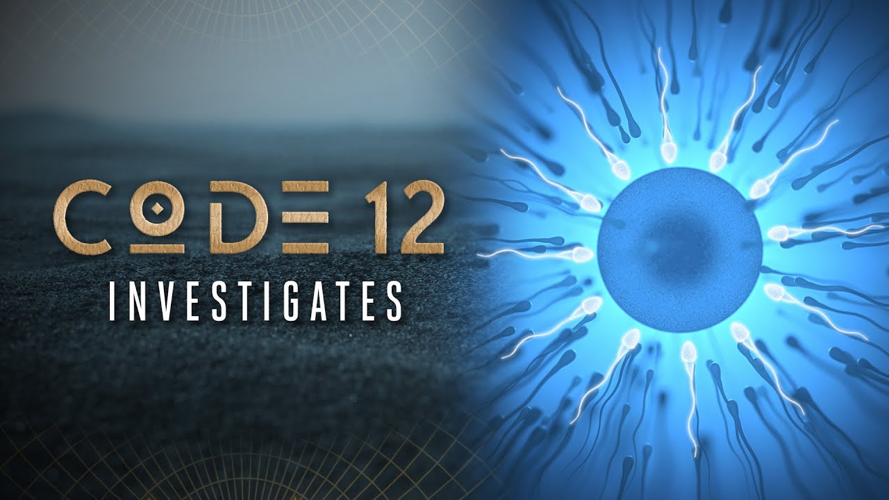 Creation and the Number 13 | Code 12: Investigates