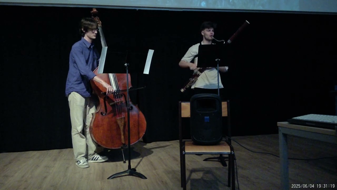 Sonorisation d’un fragment du film (Le Seigneur des Anneaux)