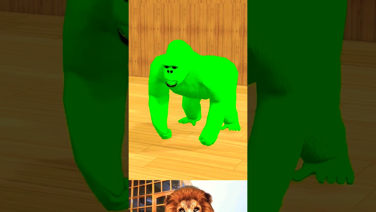 Long Slide Game With Elephant Gorilla Buffalo Hippopotamus Tiger  3d animals game