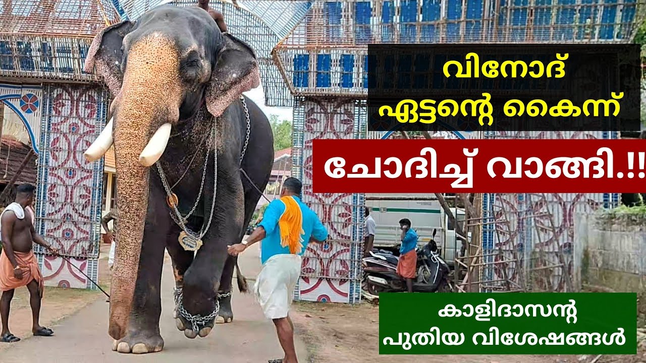 വിനോദ് ഏട്ടന്റെ കൈന്ന് ആവശ്യത്തിന് കിട്ടി.. 🫣Chirakkal Kalidasan ന്റെ പുതിയ വിശേഷങ്ങൾ 🥰🙏❤️