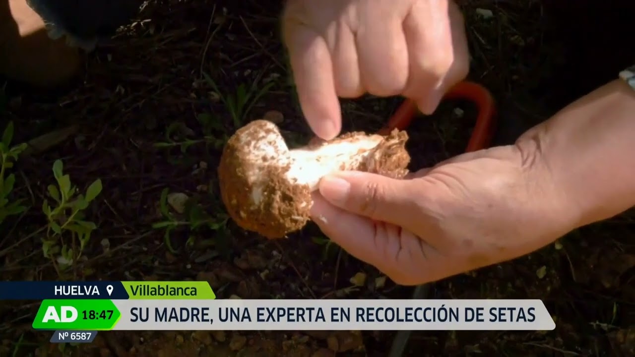 Reportaje Andalucía directo Tomás Hermoso.