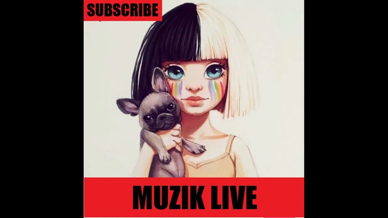 Bledar Dapa  Ke shkallet e Tujonit Live   , #Muzikelive2022#Muzikshqip#Muzikpopullore#BledarDapa