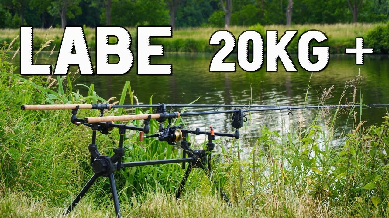 Zabral mi obrovský kapr z LABE! Souboj s labským králem! Neskutečná výprava.