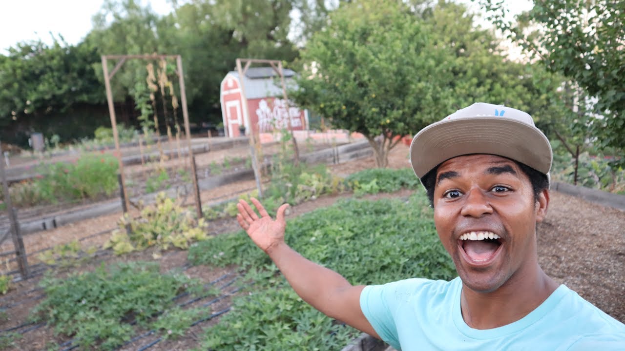 Starting A farm!!!