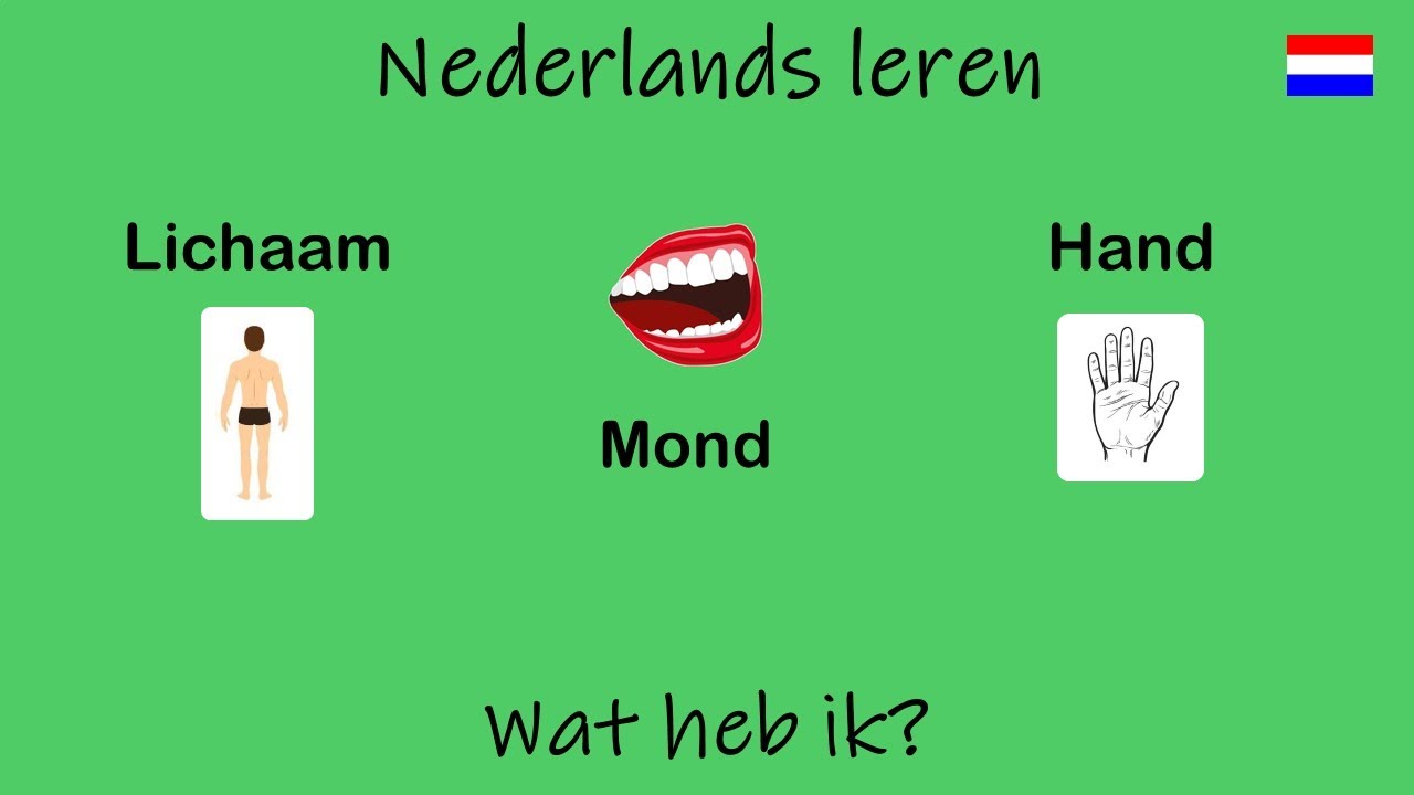Nederlands leren; Wat heb ik? (Les 35)